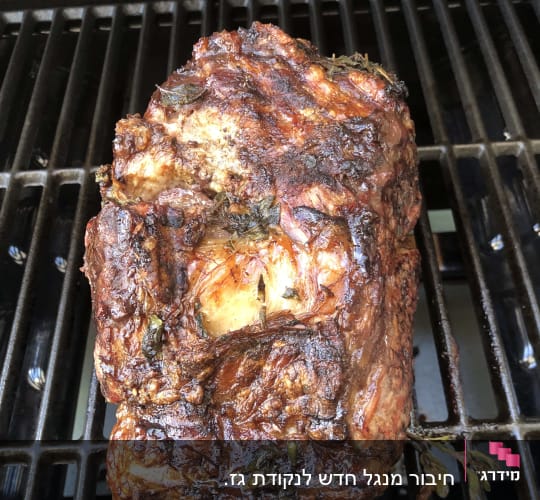 תוצאה של מנגל פעיל שמעודדת לנתח אנטריקט